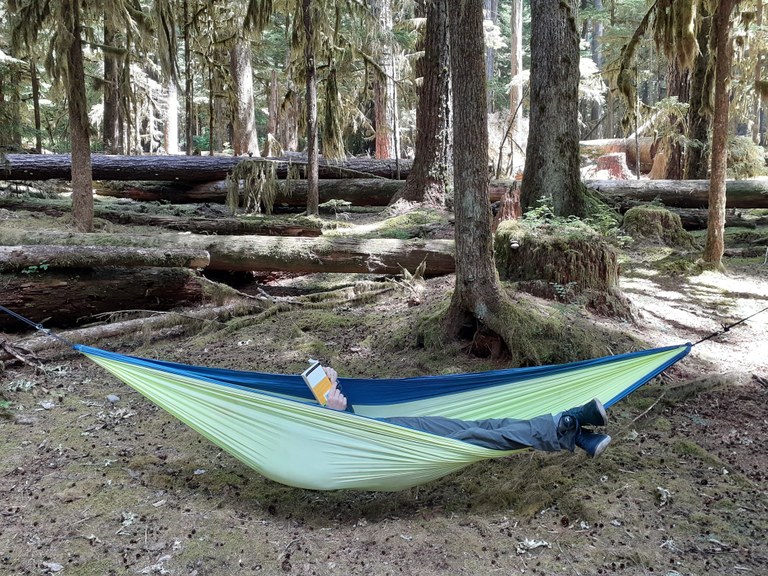 A hiker lays in a hammock reading a book.