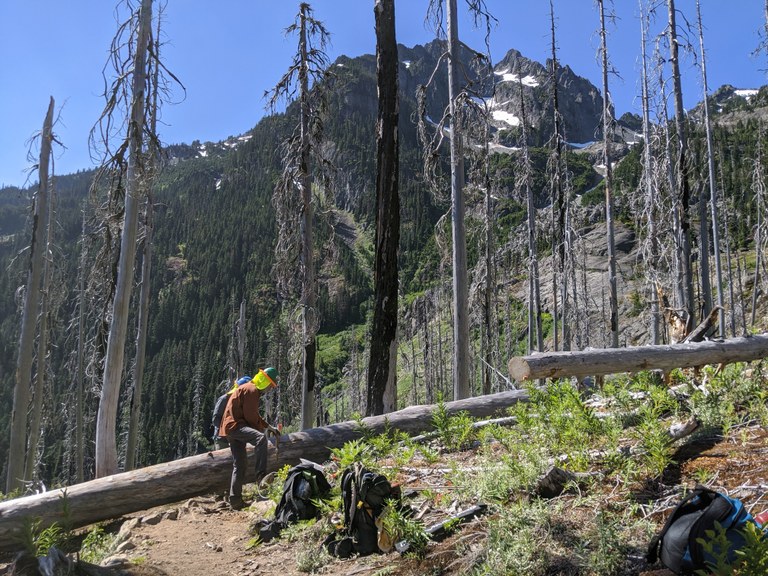 Lemah Meadows log out - Bob Zimmerman