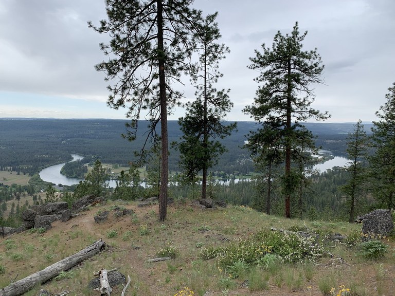 Little Spokane River in the springtime. Photo by California Girl..jpeg The banks of the Little Spokane River will soon have even more public land to explore.