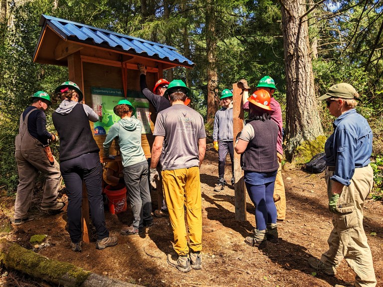 Final touches on the Loganberry Lane trail. Photo by Simon Krane. WTA trail crew members erecting a bulletin board at the trailhead of the Loganberry Lane trailhead. Photo by Simon Krane.