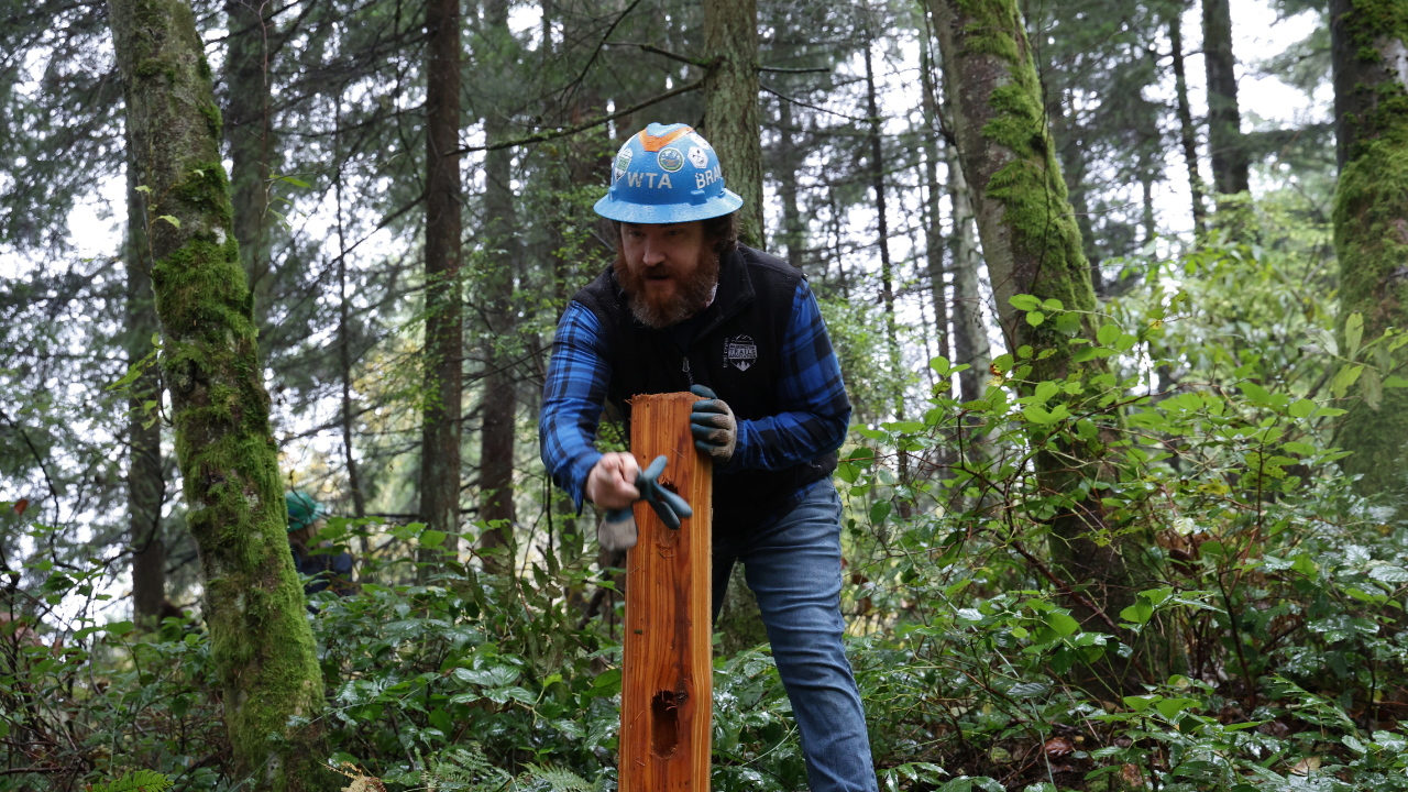 Man in blue flannel with blue hard had holds fence post as he points in front of him to indicate alignment of next post. 