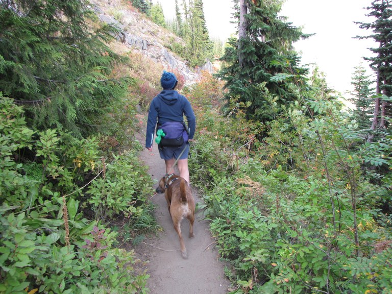 Madigan follows dog heel