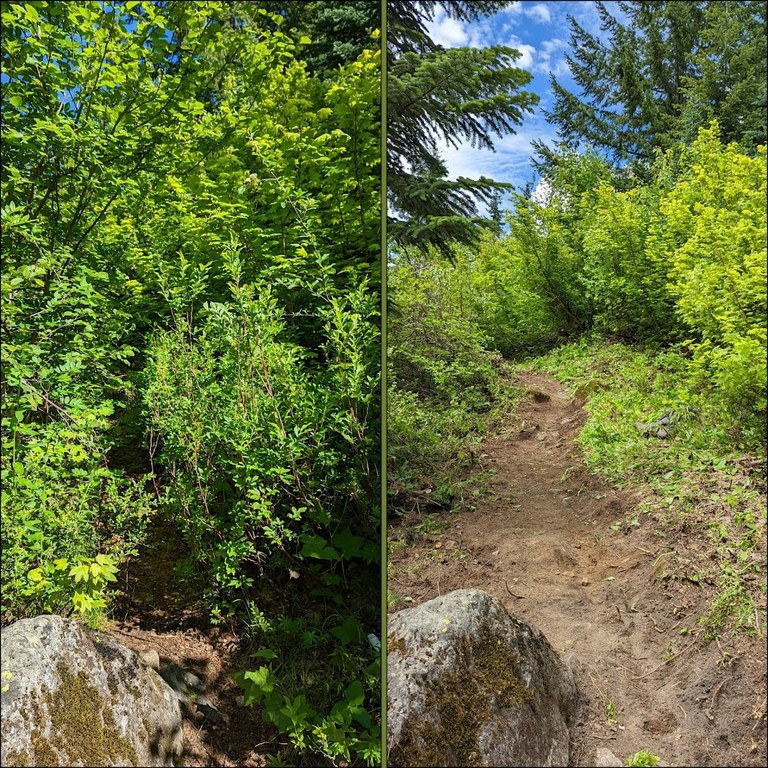 lost trails found_zachary toliver.jpg