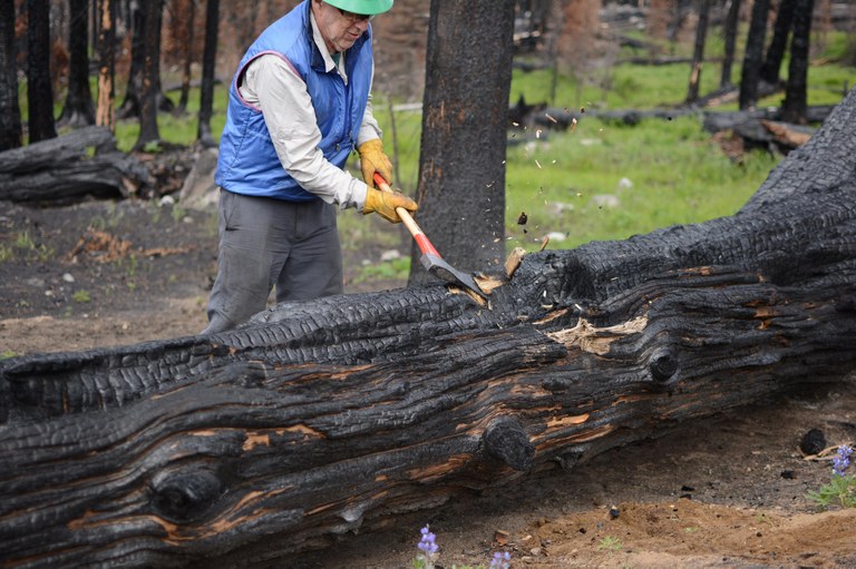 Lost Trails Update. Andrews Creek by Rachel Wendling.jpg Lost Trails Update. Andrews Creek by Rachel Wendling.jpg