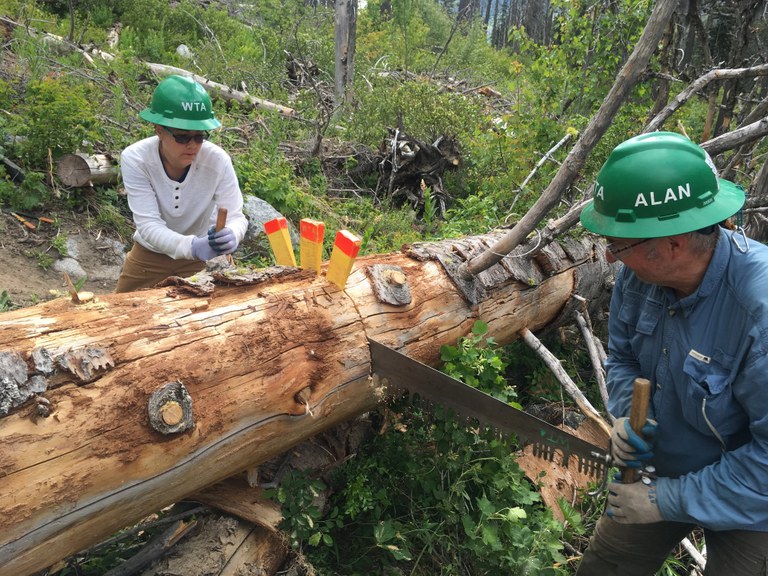 Lost Trails Update. Ingalls Creek by Beth Macinko.JPG Lost Trails Update. Ingalls Creek by Beth Macinko.JPG