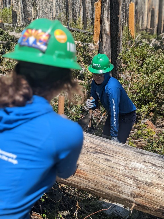 Crosscutting at Cow Creek in the Entiat. Photo by Zachary Toliver. Crosscutting at Cow Creek in the Entiat. Photo by Zachary Toliver.