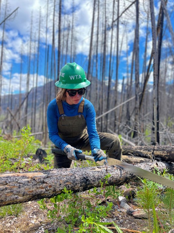 Sawing a log at Hidden Lakes. Photo by Rachel Wendling. Sawing a log at Hidden Lakes. Photo by Rachel Wendling.