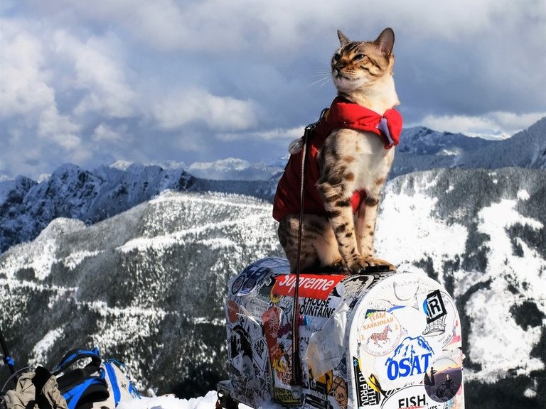 Mailbox Peak. Photo by Jean-Luc's Away Missions.jpeg Mailbox Peak. Photo by Jean-Luc's Away Missions.jpeg