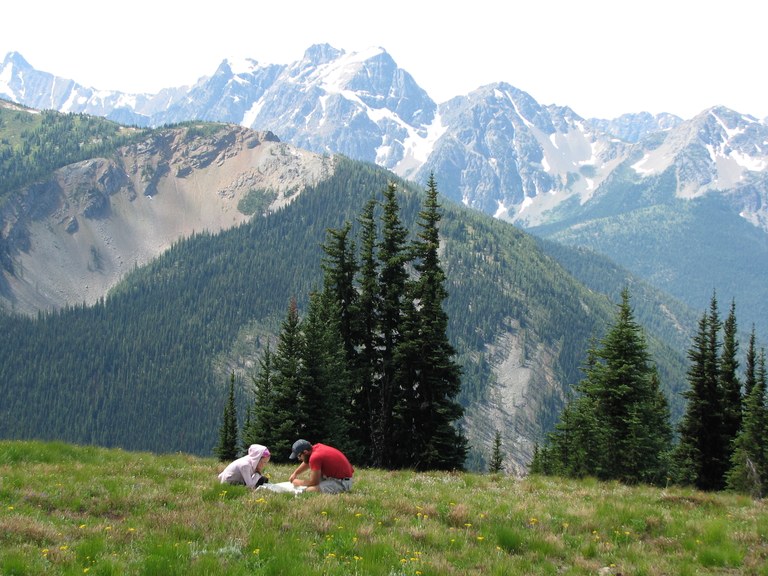 Map Review. - Photo - Raymond Dion.jpg