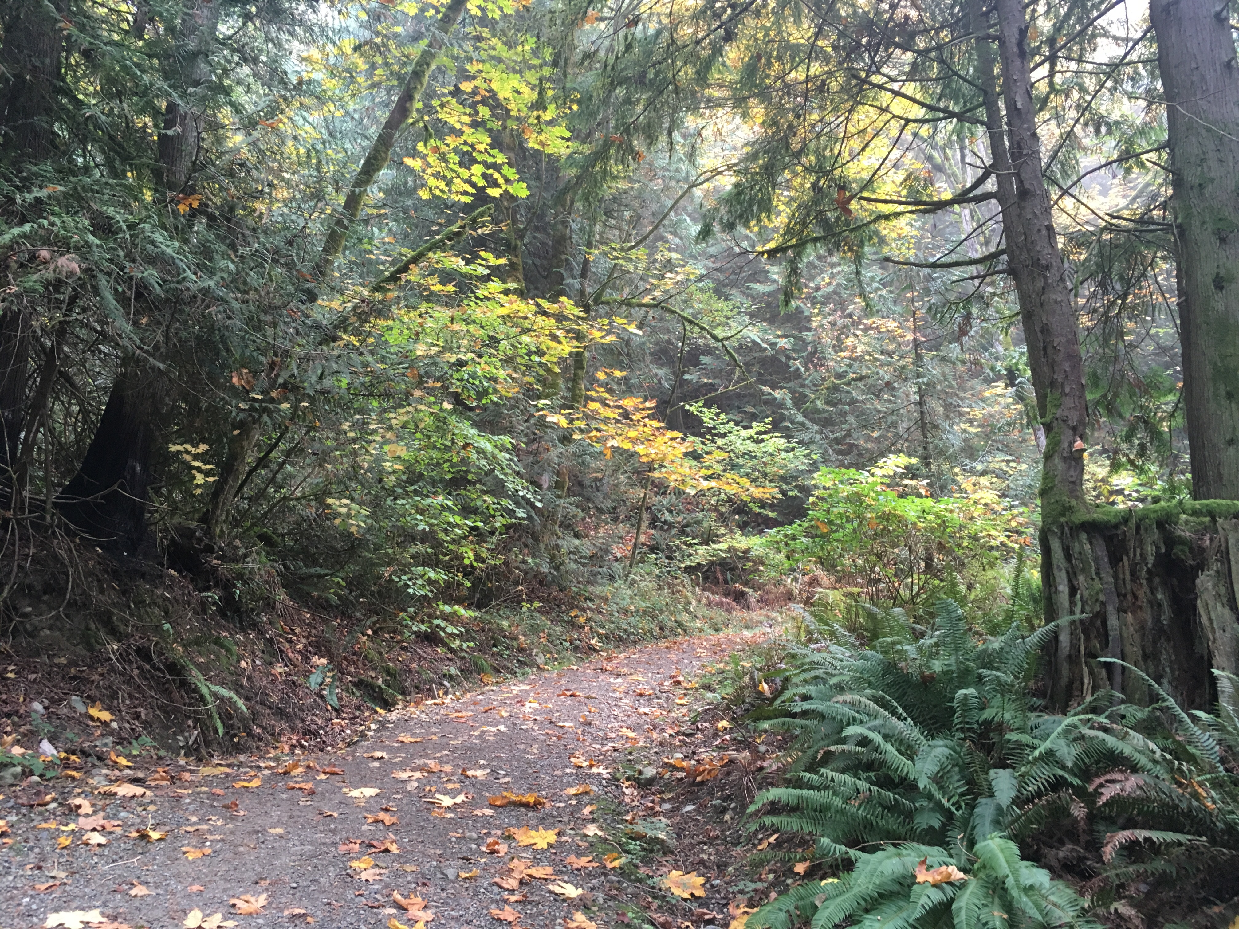 Margaret's Way Trail Photo by clopez.JPG