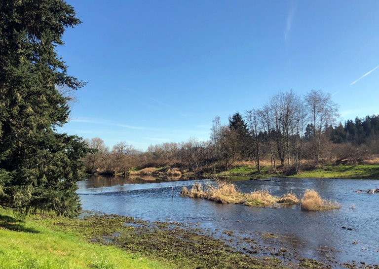 Marymoor Park. Photo by kokay. A sunny day at Marymoor Park. Photo by trip reporters kokay.