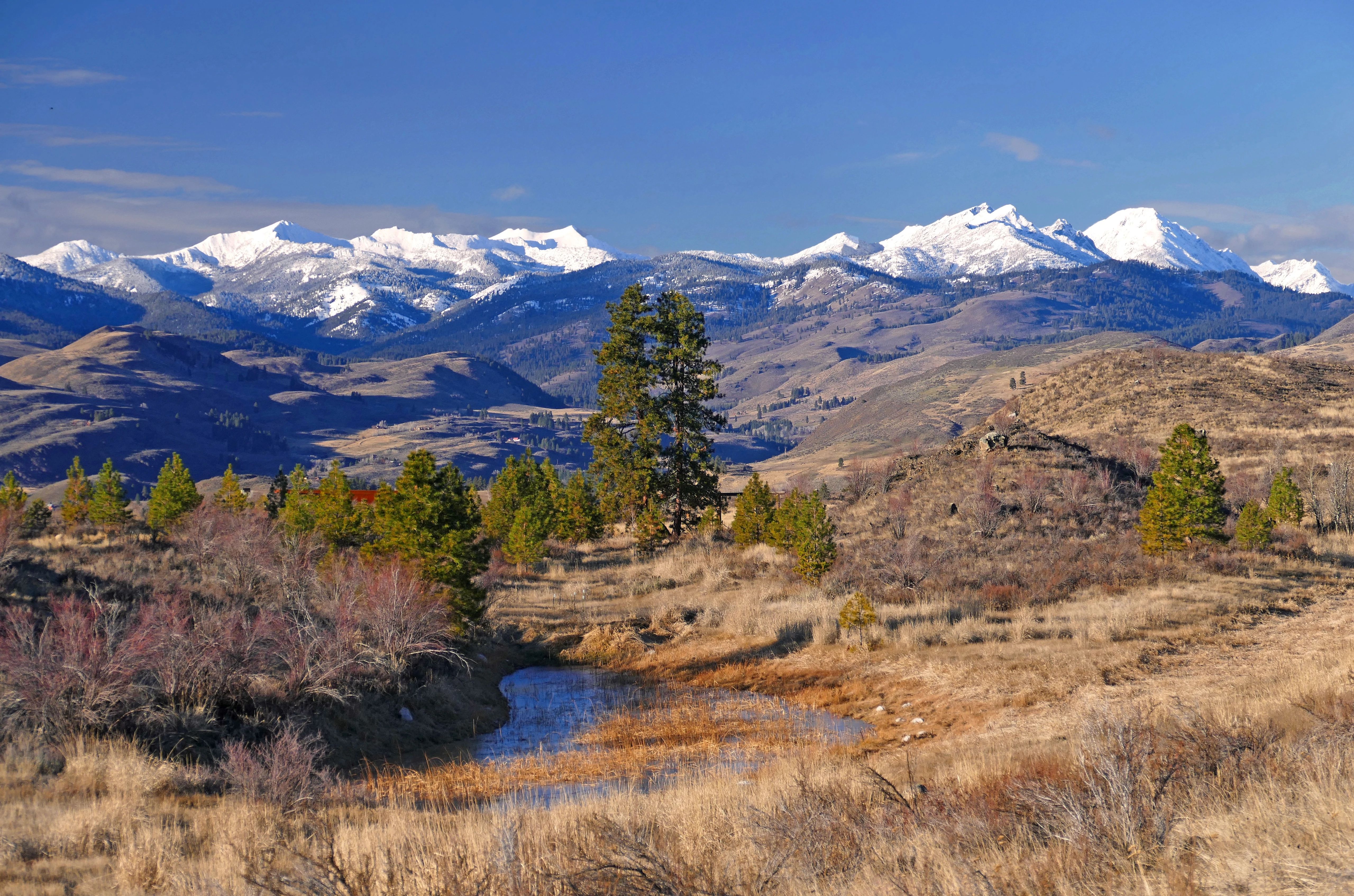 A brown, brushy landscape scattered with water and green trees in front of rolling hills and snowy peaks