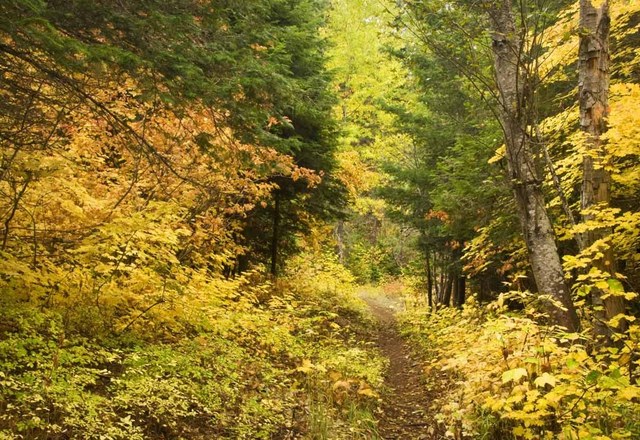 The Middle Fork Teanaway in fall. Photo by David Hagen.