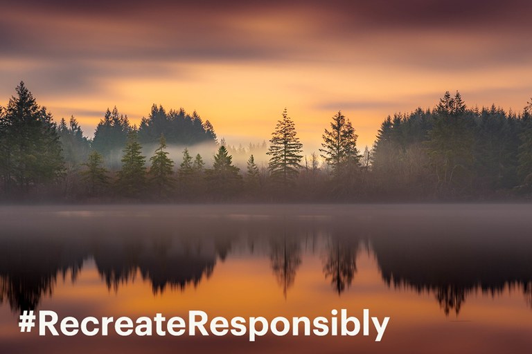 millersylvania Scott Willis web2.jpg