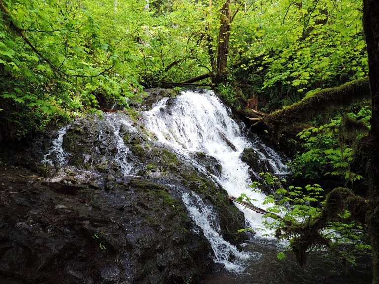 Mima Falls in Capitol State Forest