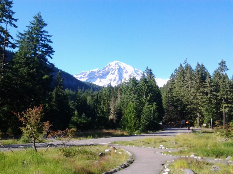 View of Mount Rainier from Longmire Trail in Mount Rainier National Park. Photo by Jesse Gold. 