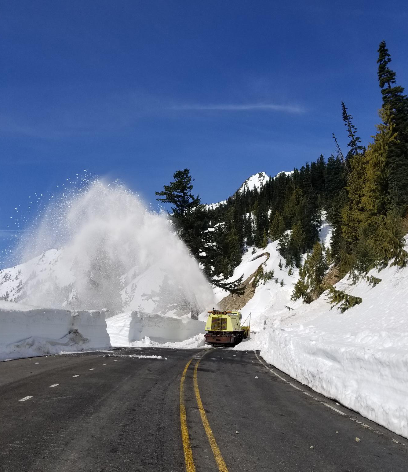 Mount Rainier Passes to Open June 11 — Washington Trails Association