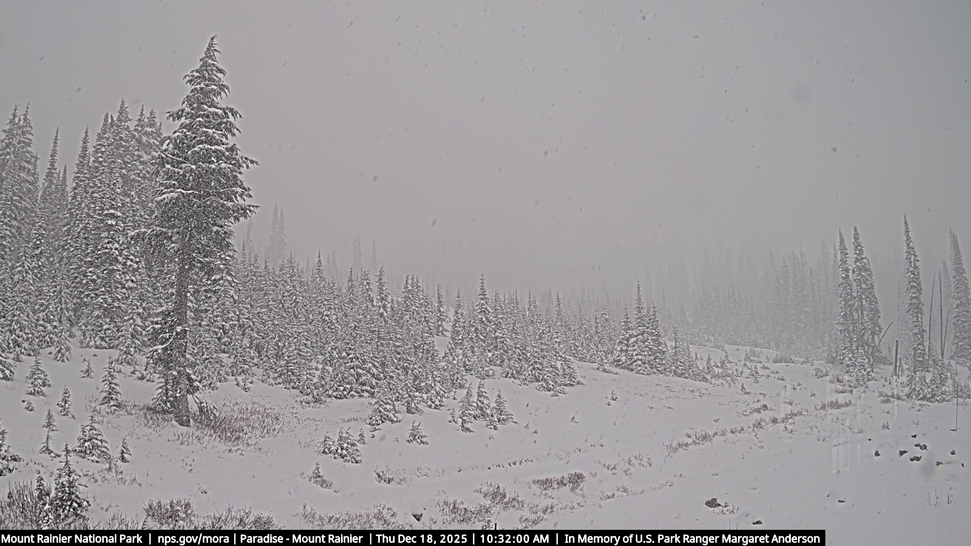 mountain view - paradise webcam 12.18.25 1030 am