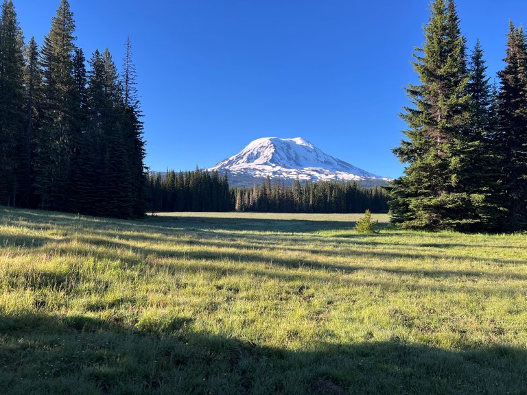 Muddy Meadows/Foggy Flat. Photo by Zachary1992. Mount Adams on a clear bluebird day from the Muddy Meadows/Foggy Flat trail. Photo by Zachary1992.