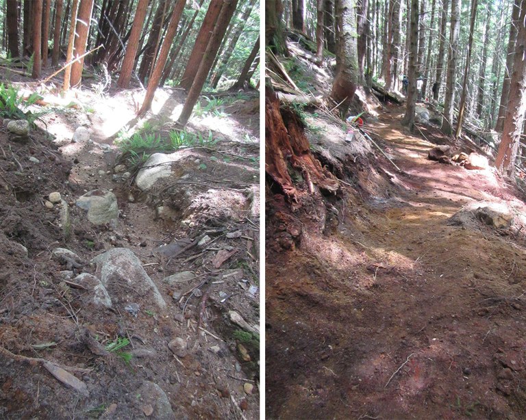 muledeer.jpg muledeer.jpg