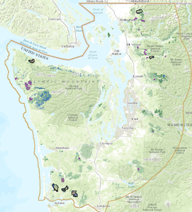 Marbled murrelet habitat is highlighted on the map. Click the map to view more information.