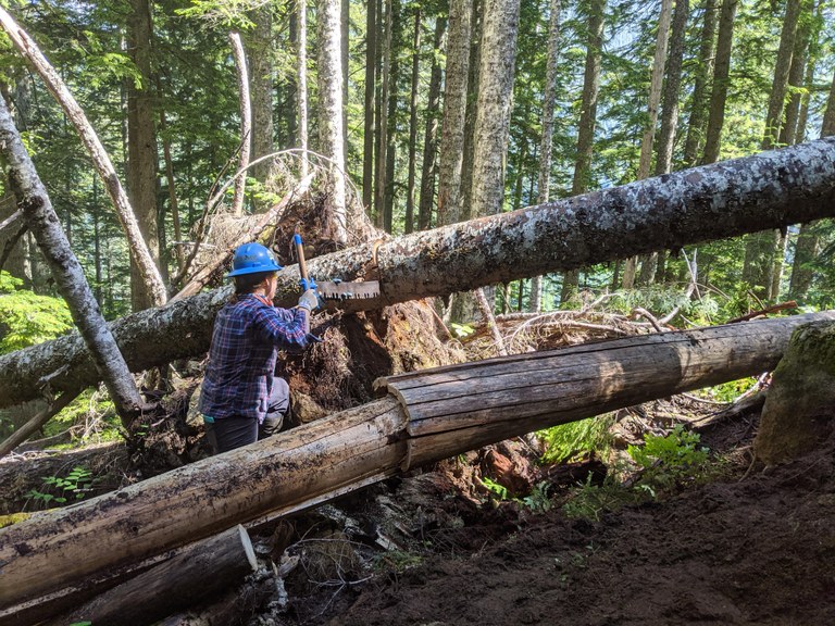 LeeAnne cutting a log on the Pratt