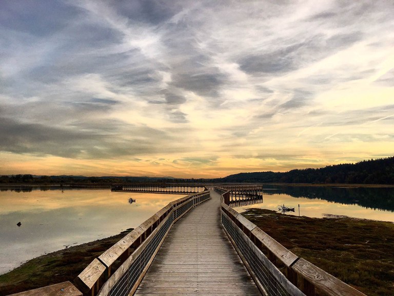 Wooden boardwalk winding through water with a sunset in the background. 