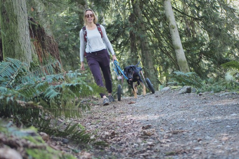 noodle.jpeg noodle.jpeg