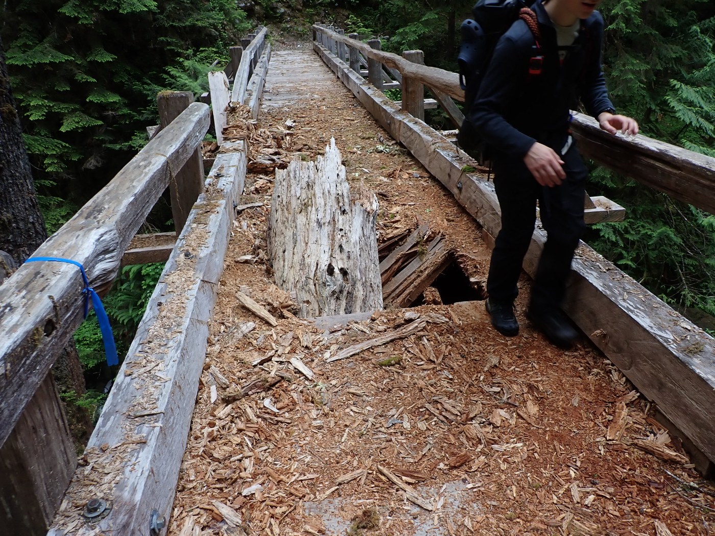 Hiker skirts a whole in a wooden trail bridge nearly as wide as the bridge itself