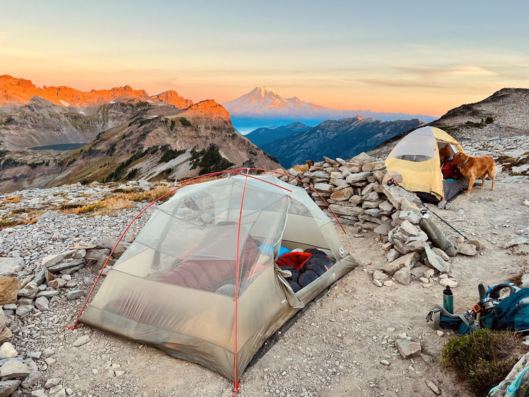 Two tents sit on a pass. One hiker is still in their sleeping bag, while another is petting their dog who stands outside. In the background are dramatic mountain peaks and Mount Rainier.