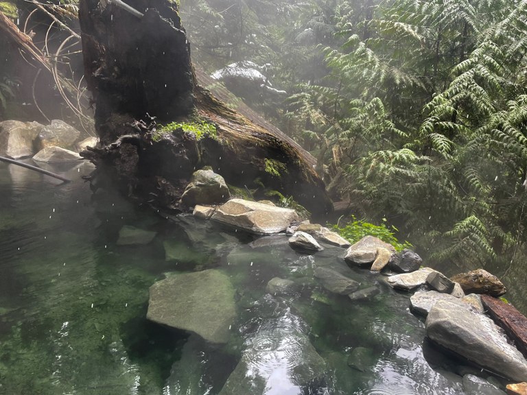 A steaming pool of clear water overlooks a wet forest. A few snowflakes are sprinkling down.