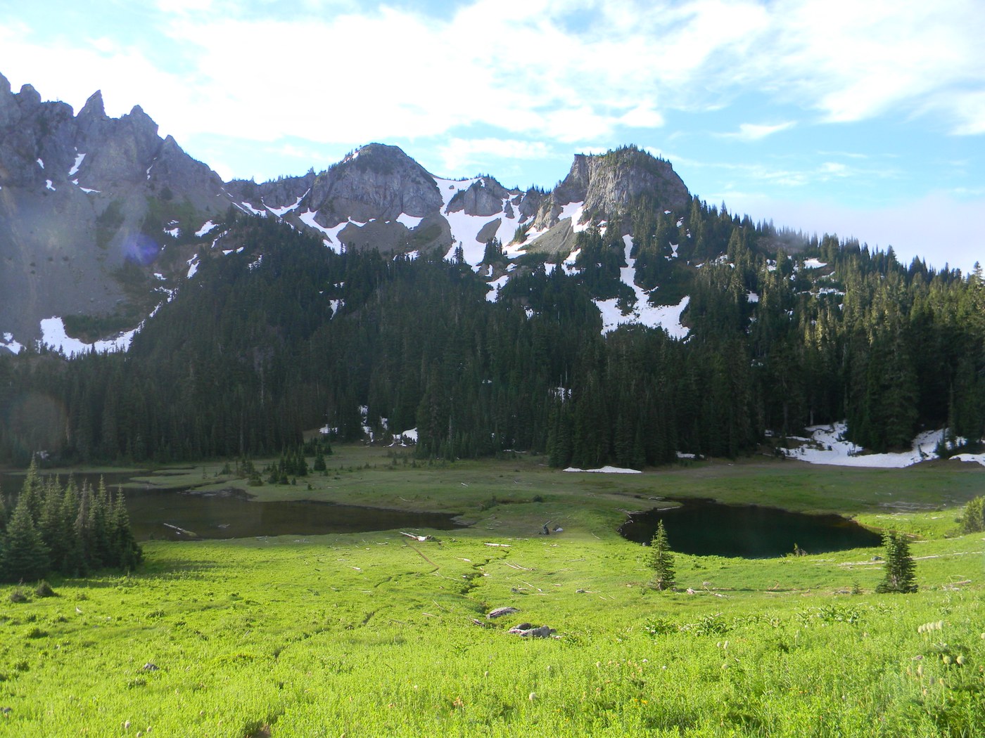 A bright green meadow sits in front of a jagged, snowy ridge