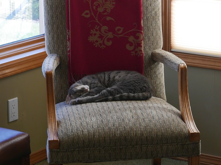 P1030328.jpeg P1030328.jpeg