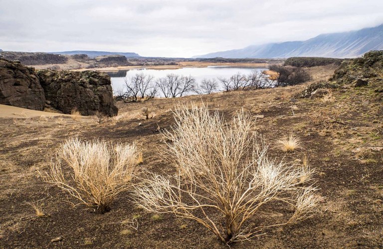 A winter day on the Palouse to Cascades Trail.