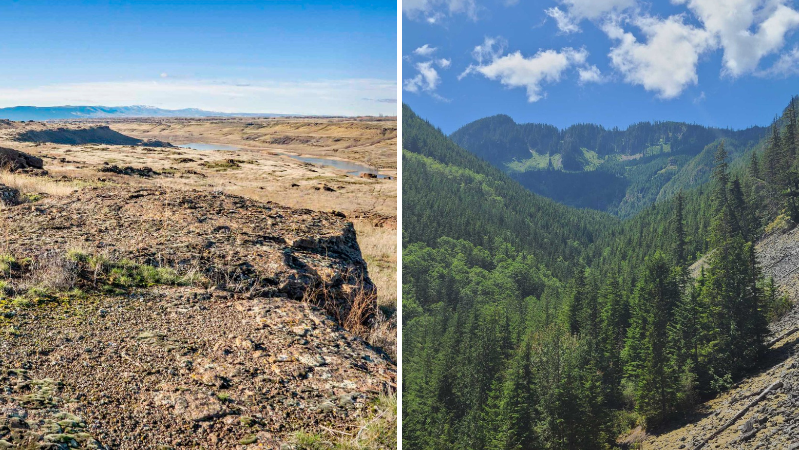 side by side photos of a brown river basin and a green forested valley