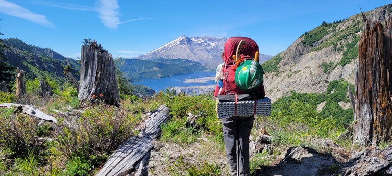 A hiker stands on a ridge looking out towards Mount St. Helens on a blue sky day. 