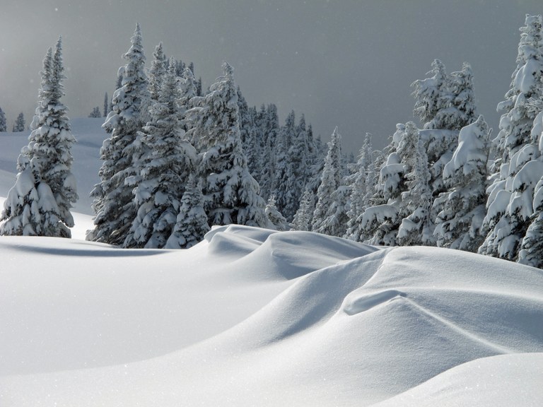 Paradise in snow by Robert Bryll