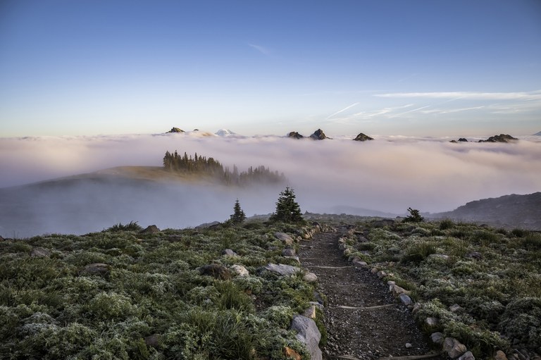 An inversion of clouds sits below a meadow covered hill with a dirt trail running down it.