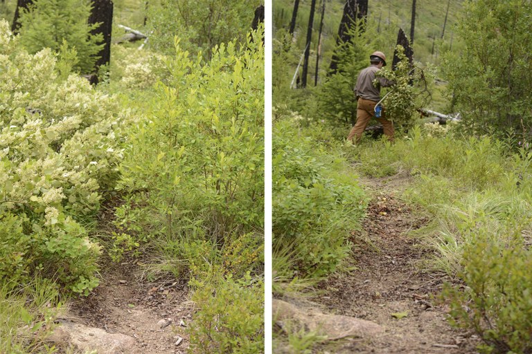 Pasayten Before After.jpg