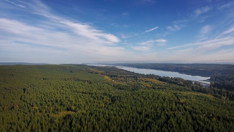 An aerial view of forest with saltwater in the background.