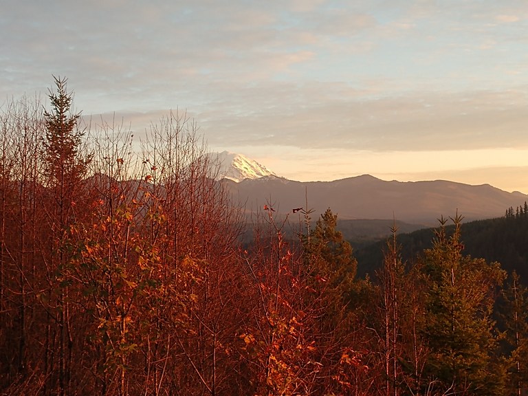 Mount Rainier through fall foliage.