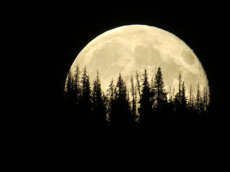 Full moon at Pleasant Valley Campground. Photo by Cindy Riggs.