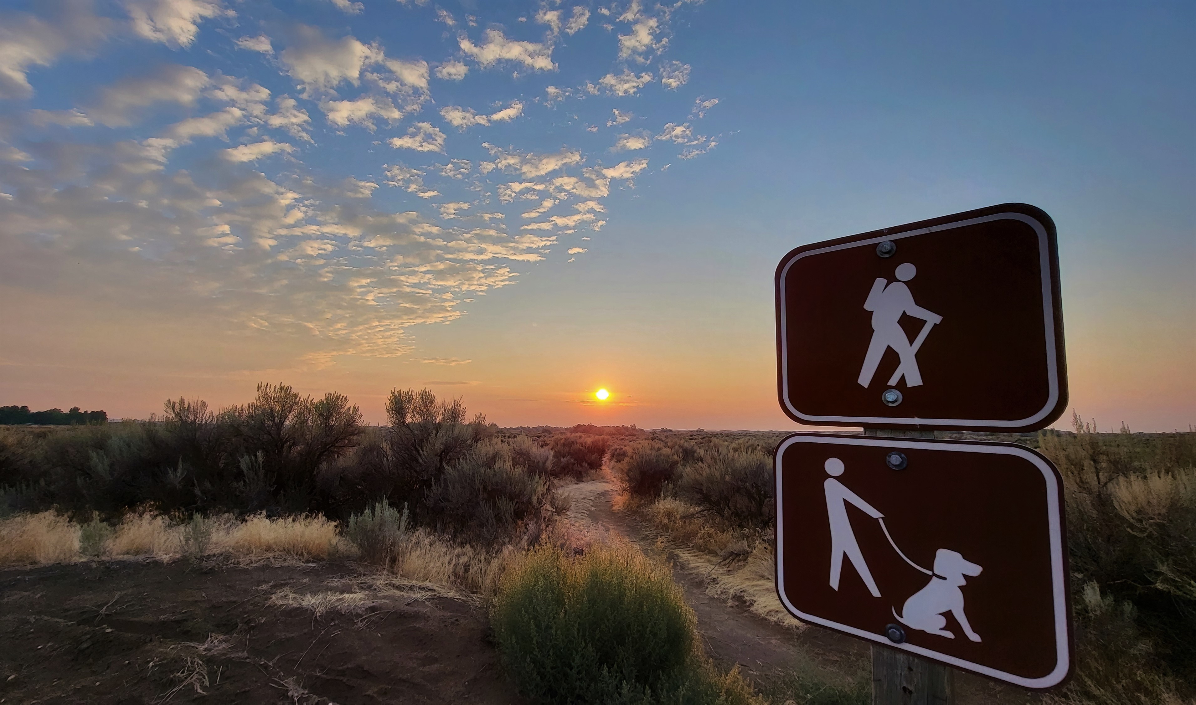 Signs indicating a hiker and a person walking with a dog in front of a sunset over flat landscape vegetated with shrubs
