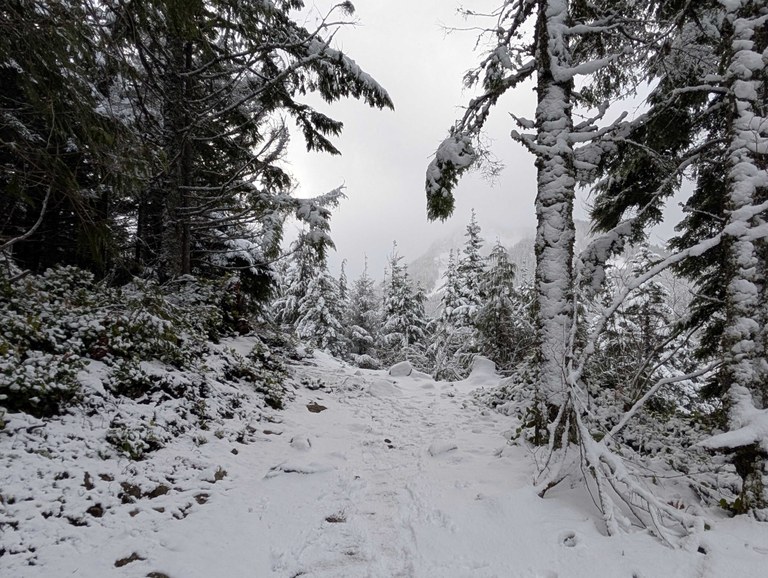 Snow on the Dirty Harry's Balcony Trail. Photo by Tiffany Chou.