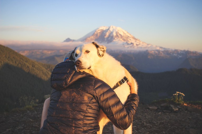 A hiker sitting on the ground hugs a large white dog.