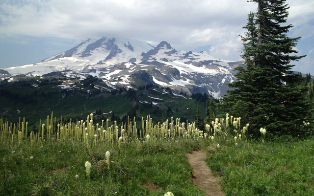 Mount Rainier viewed from the Wonderland Trail. Photo by Niko Niko.