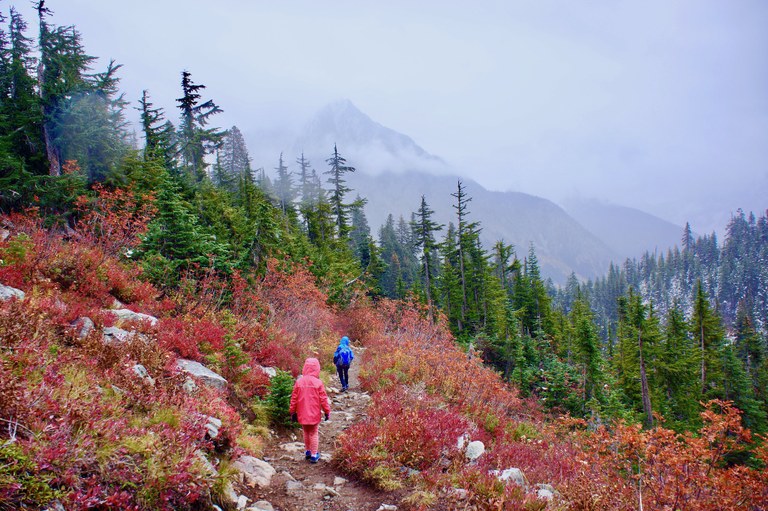 Two kids in bright rain jackets hike along a trail with fall color on a misty day.