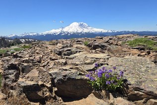 Rebooting trails through planning, partnerships and volunteer power