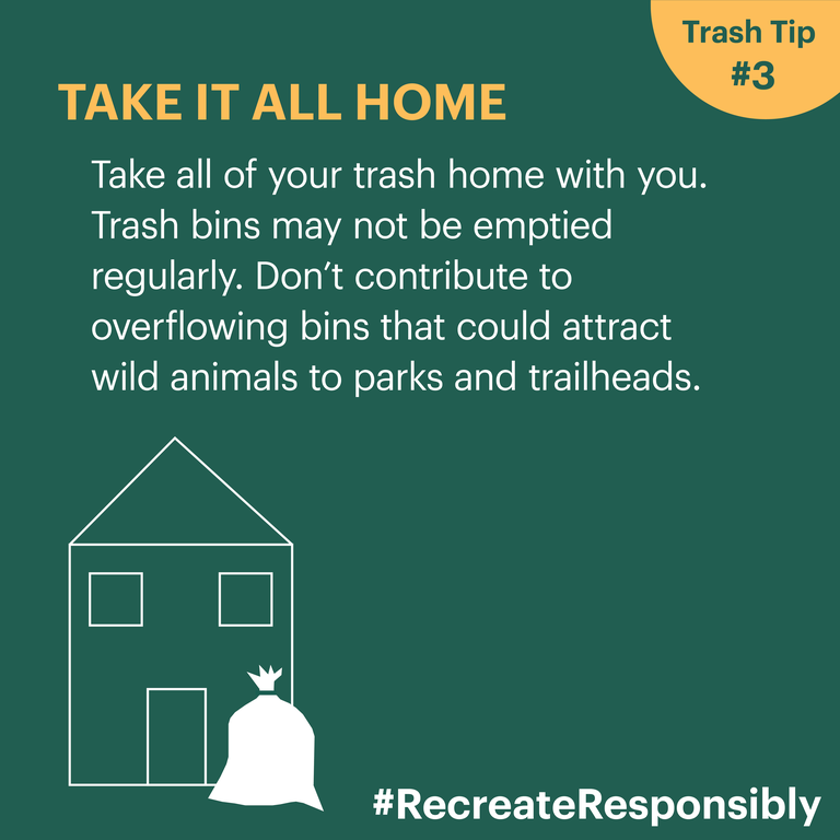 RecreateResponsiblyTrashTilesTAKE2-04.png Trash Tip: Take it home