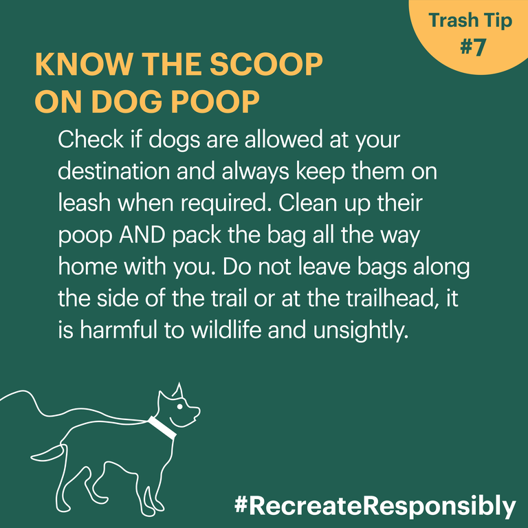 RecreateResponsiblyTrashTilesTAKE2-08.png Trash Tip